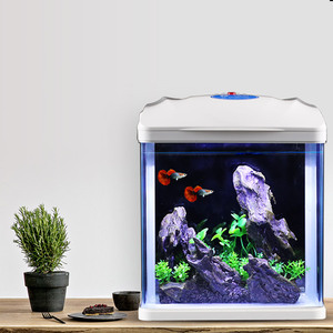 子供と初心者のための高機能水槽小型デスクトップ水族館 - Product Image 2