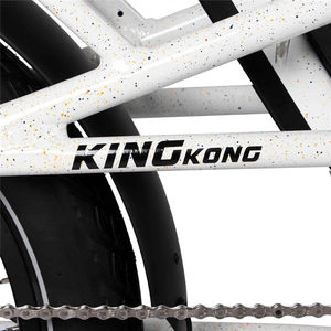 JOYKIE ล้อรถจักรยานไฟฟ้าจักรยานขนส่งสินค้า20นิ้ว,รุ่น48V 500W แบบสเต็ปผ่านไขมันจักรยานไฟฟ้าแบตเตอรี่คู่ - Product Image 5