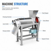 Duurzame appel-citroen-wortelsapcentrifuge voor thuisgebruik, fruitpers, fruitsapmachine