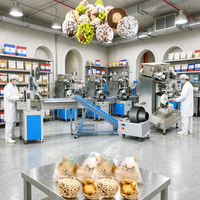 Machine automatique BinKang BK-168 pour la fabrication de boules de chocolat, de beurre de cacahuète et de dattes, capacité de 30 à 120 pièces/minute, 220V