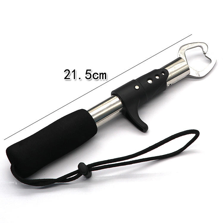 ประเภทปืน