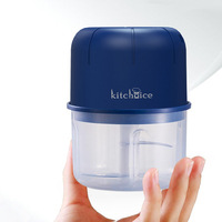 All-in-one service 250ml USB oplaadbare PP plastic 3-blads gemberknijper chili mini groentevermaler keukenhulp elektrische knoflookpers