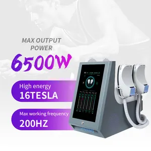 Portátil 6500W RF 2 4 5 manijas estimulador muscular cuerpo de construcción EMS cero máquina de esculpir con silla de piso pélvico