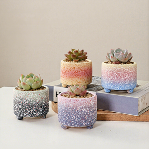 <span class=keywords><strong>Maceta</strong></span> para Flores y Suculentas, Estilo Moderno Minimalista, Transpirable y Resistente a la Corrosión, para Jazmín y Crisantemo, de Interior, OEM ODM - Product Image 1