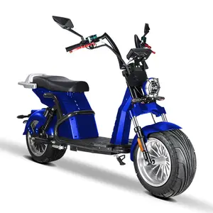 Scooter kiralama için ışın Gopet 1 tekerlek büyük lastikler Set hızlı engelli kişi 200Km aralığı 240W kanada elektrikli Scooter