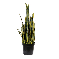 110cm écologique Sansevieria plantes de serpent artificielles bonsaï plante plantes artificielles pour la décoration intérieure