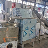 Équipement de transformation alimentaire pour nouilles instantanées en bol / Coupe, ligne de production de nouilles instantanées Maggi, machine à fabriquer des nouilles Maggi