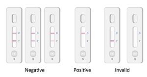 <span class=keywords><strong>Kit</strong></span> per Test Rapido di Tetracicline nei Gamberetti WDWK per Frutti di Mare e Pesce, Rilevamento 40ppb, 40 Test/Scatola, Durata di Conservazione 1 Anno - Product Image 3