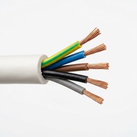 Câble de commande électrique flexible RVV 300V 6 AWG isolé en PVC cuivre pour équipement industriel et alimentation électrique