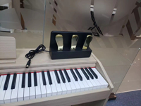 Wholesale Custom Oem Odm Professional Keyboard Digital Piano Sustain Synthesizer Metal Piano Foot Pedal