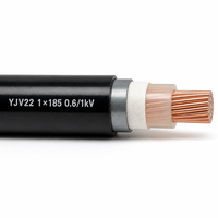Câble d'alimentation blindé YJV22 1 conducteur 1*185 0,6/1kV en cuivre isolé XLPE avec bande d'acier blindée et gaine PVC type NH