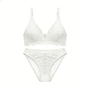 Комплект женского нижнего белья больших размеров с кружевом и логотипом производителя на заказ, модный, сексуальный, индивидуальный пошив - Product Image 6
