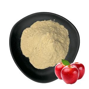 Grosir bubuk serat Apel larut dalam air pemasok suplemen bubuk Pectin Apple untuk menurunkan berat badan - Product Image 1