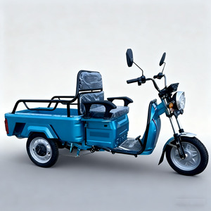 Triciclo Motorizado para Adultos, Motocicleta de 3 Ruedas, Triciclos de 650W para Uso Familiar - Product Image 1