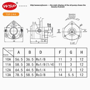 Bomba de engranajes hidráulica industrial de lubricación triangular cicloidal de Rusia TOP-11A TOP-12A 13A Diseño de bomba cicloidal - Product Image 2