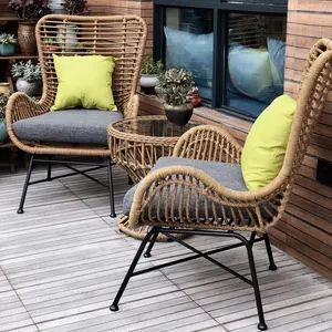 Chaise de jardin en rotin et acier d'extérieur, meuble de Patio, accoudoir de haute qualité, en acier