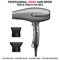 Sèche-cheveux professionnel FirePhoenix F3 MAX PRO OEM ODM 3000W BLDC à moteur sans balais, léger, séchage rapide pour salon