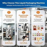 IJslolly verpakkingsmachine, fruit sap olie platte lolly ijslollystok vloeistof vul- en verzegelmachine voor kleine bedrijven