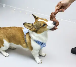 Grosir mainan anjing anjing berotot Super kuat tidak bisa dihancurkan anjing Grinding gigi tahan lama nilon anjing mainan kunyah untuk pengunyah agresif
