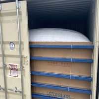 Flexitanks et sacs flexibles à prix d'usine pour méthanol, biogaz, propylène glycol, laboratoire