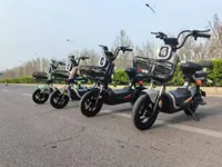 Vente directe d'usine, vélo électrique de banlieue 48V 20AH 400W, vélo électrique de ville