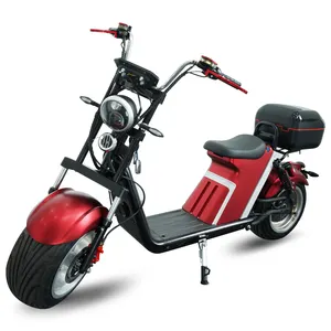 Europe Market Hot Selling 2024 Newly Developed E-Ctiycoco 20ah Lithium Battery Harleyment Electric Citycoco Electric Scooter