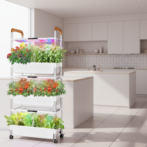 Macchina Intelligente <span class=keywords><strong>per</strong></span> Coltivazione Indoor Senza Suolo, Coltivazione Idroponica di Verdure, Sistema di Coltivazione Domestico Multistrato - Product Image 2