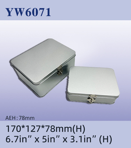 Hot bán tùy chỉnh tinplate Hộp Ăn Trưa với bạc thiếc xử lý tùy chỉnh hộp kim loại - Product Image 4