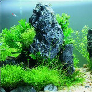 Draak Stenen Micro Landschap Landschapsarchitectuur Steen <span class=keywords><strong>Aquarium</strong></span> Rotstuin Beitsen <span class=keywords><strong>Aquarium</strong></span> Landschapsarchitectuur <span class=keywords><strong>Seiryu</strong></span> Steen <span class=keywords><strong>Aquarium</strong></span> - Product Image 6