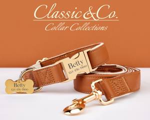 ชุดปลอกคอและสายจูงสุนัขหนัง PU กันน้ำ ดีไซน์เรียบง่าย หัวเข็มขัดสลักชื่อ ป้ายชื่อสั่งทำได้ฟรี อุปกรณ์เสริมสำหรับงานแต่งงานและลูกสุนัข - Product Image 4