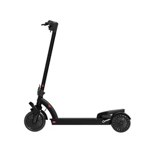 H O X10 36V DC Electric Motor 300W Max Skateboard Power 3 Wheel Foldable Electric Motorcycle Scooter For Sale