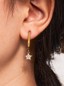 Regalo <span class=keywords><strong>de</strong></span> San Valentín, Pendientes Románticos con Forma <span class=keywords><strong>de</strong></span> Estrella, Chapados en <span class=keywords><strong>Oro</strong></span> <span class=keywords><strong>de</strong></span> 18K, Acero Inoxidable, Resistentes al Agua y al Sudor, Pendientes <span class=keywords><strong>de</strong></span> Moda - Product Image 4