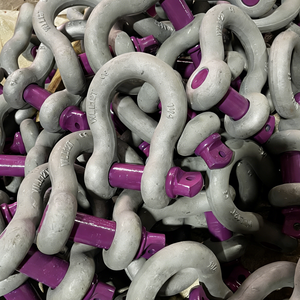 US Type D Shackle Heavy Duty Carbon Steel Galvanized Forged Screw <b>Pin</b> Marine Anchor Wholesale US Type Bow Shackle G210 G213 - Product Image 6