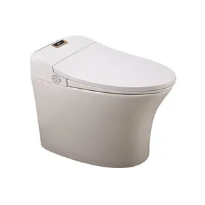 European composting round smart toilet