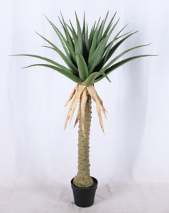Decoración <span class=keywords><strong>de</strong></span> escritorio <span class=keywords><strong>de</strong></span> oficina Bonsai Topical Evergreen Protección UV Plantas artificiales <span class=keywords><strong>de</strong></span> aloe con <span class=keywords><strong>maceta</strong></span> <span class=keywords><strong>de</strong></span> plástico - Product Image 3