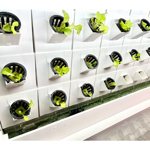 45 Maceta para plantas al aire libre, Gran Pared de jardín Vertical, sistemas de cultivo hidropónico, Unidad de pared interior, maceta Vertical Real para el hogar - Product Image 1