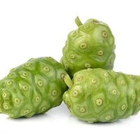 Food Grade Hoge Zuiverheid Grote Voorraad Noni Fruit Poeder Noni Vruchtensap Poeder Volledig In Water Oplosbaar