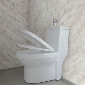 مجموعة أدوات صحية فاخرة من قطعة واحدة حوض غسيل حوض صحي علوي بمصيدة P طقم حمام مرحاض مرحاض خزانة فوق وحدة المرحاض - Product Image 4