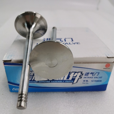 Hot Sale Genuine Weichai diesel Engine 226B WP4 Spare Parts Intake Exhaust Valve 12159606 for Marine Boat Ship