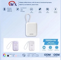 Benutzerdefiniertes Logo 20000mAh 2-in-1 Powerbank mit integriertem Kabel Schnellladung Tragbares Mobiles Ladegerät für Outdoor Camping Wandern