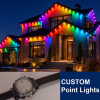 Lumières de Noël extérieures 24V 35mm, prix d'usine, lumières ponctuelles étanches RGB pour les fêtes, lumières LED pixel