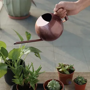 Arrosoir métallique en acier inoxydable de meilleure qualité HHO pour plantes de jardin - Product Image 1