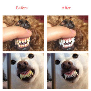 Brosse à dents à trois faces pour <span class=keywords><strong>chien</strong></span>, outil de nettoyage des dents pour la mauvaises haleine de votre animal de compagnie, élimine le tartre et le chat - Product Image 3