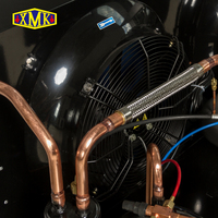 R404a refroidisseur de refroidissement évaporateur refroidi par air chambre froide compresseur de réfrigération unité de condensation de refroidissement par air