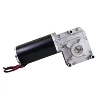 Worm Gear Motor DC for Electric Wheelchair and Truck, 24V