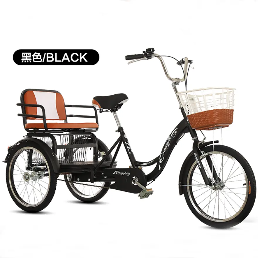 2020 popular 20 inch three wheel hub brake two basket closed tricycle cargo tricycle with Cargo Tricycle made in China
