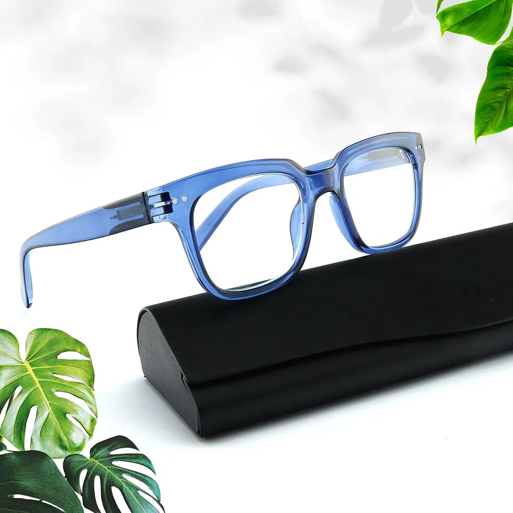 2022 Beroemde Merk Mode Optische Hoge Kwaliteit Goedkope Plastic Brillen Frames