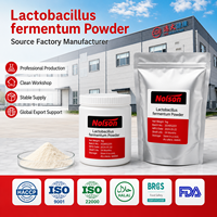 Probiótico de Alta Actividad, 100 Mil Millones de UFC, Lactobacillus Fermentum en Polvo Liofilizado CN/SHN