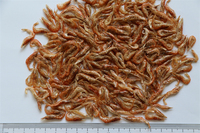 Nourriture pour poissons tortueaux et crevettes 100% naturelle séchée au soleil, écologique, riche en protéines, alimentation premium pour animaux de compagnie, santé de la peau et du pelage
