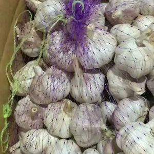 Aglio biologico sbucciato di alta qualità bianco fresco cinese aglio biologico alla rinfusa per uso alimentare - Product Image 1